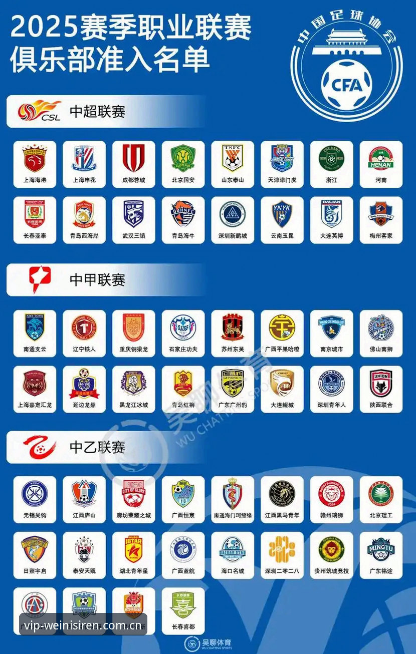 中国足协第三批禁足名单深度解析：从行业乱象到体育精神的重塑