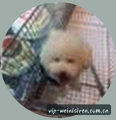 孙莉